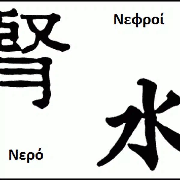 Νεφροί